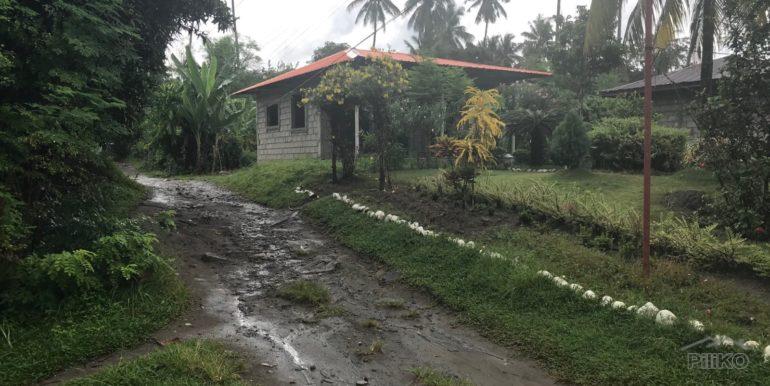 4 bedroom House and Lot for sale in Dumaguete - image 14