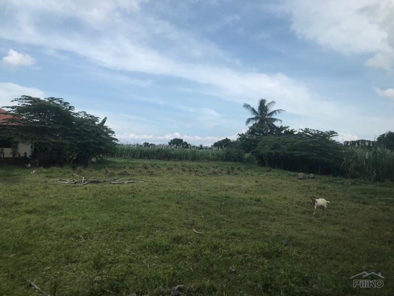 Picture of Residential Lot for sale in Dumaguete in Philippines
