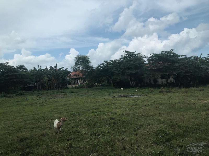 Residential Lot for sale in Dumaguete in Philippines - image