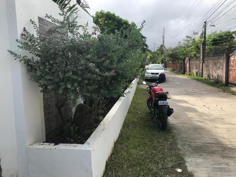 8 bedroom House and Lot for sale in Dumaguete - image 23