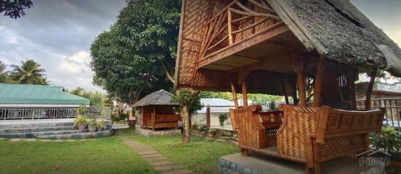 Resort Property for sale in Dumaguete - image 7