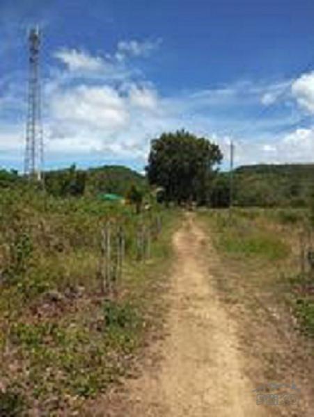 Residential Lot for sale in San Juan in Siquijor
