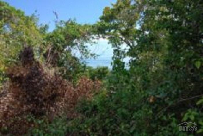 Residential Lot for sale in San Juan in Siquijor