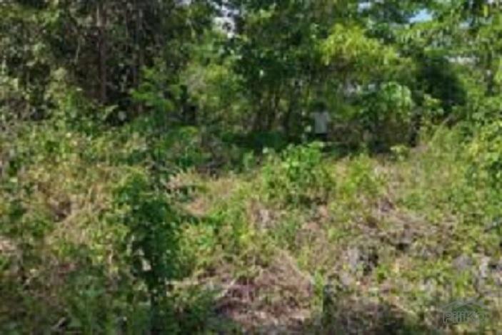 Residential Lot for sale in San Juan in Philippines