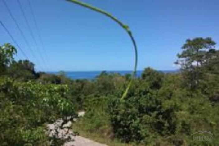 Picture of Residential Lot for sale in San Juan in Siquijor