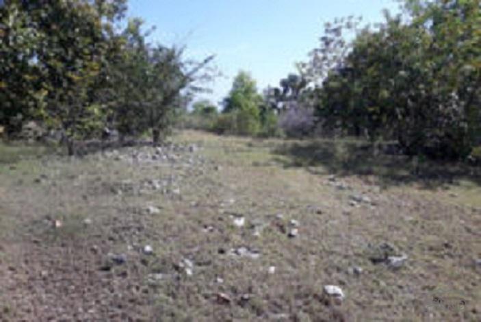 Residential Lot for sale in Enrique Villanueva