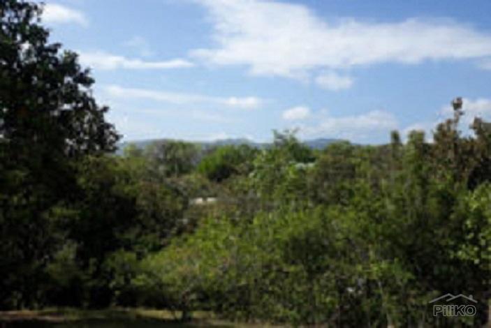 Residential Lot for sale in Enrique Villanueva in Philippines