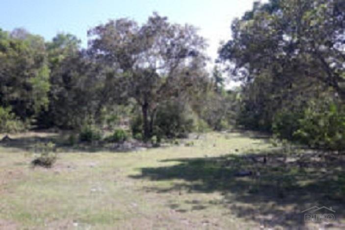 Picture of Residential Lot for sale in Enrique Villanueva in Siquijor