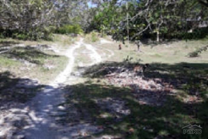 Picture of Residential Lot for sale in Enrique Villanueva in Philippines