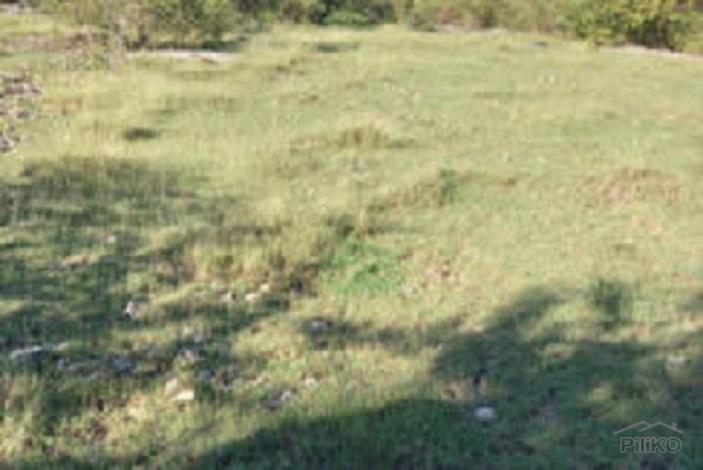 Residential Lot for sale in Enrique Villanueva in Siquijor - image