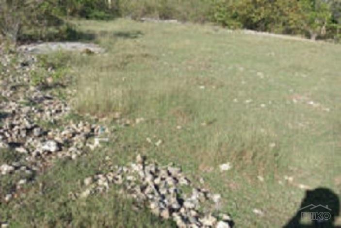 Residential Lot for sale in Enrique Villanueva in Philippines - image