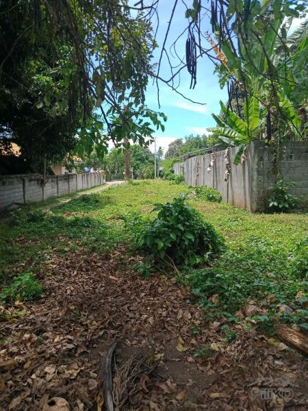 Residential Lot for sale in Dumaguete - image 15