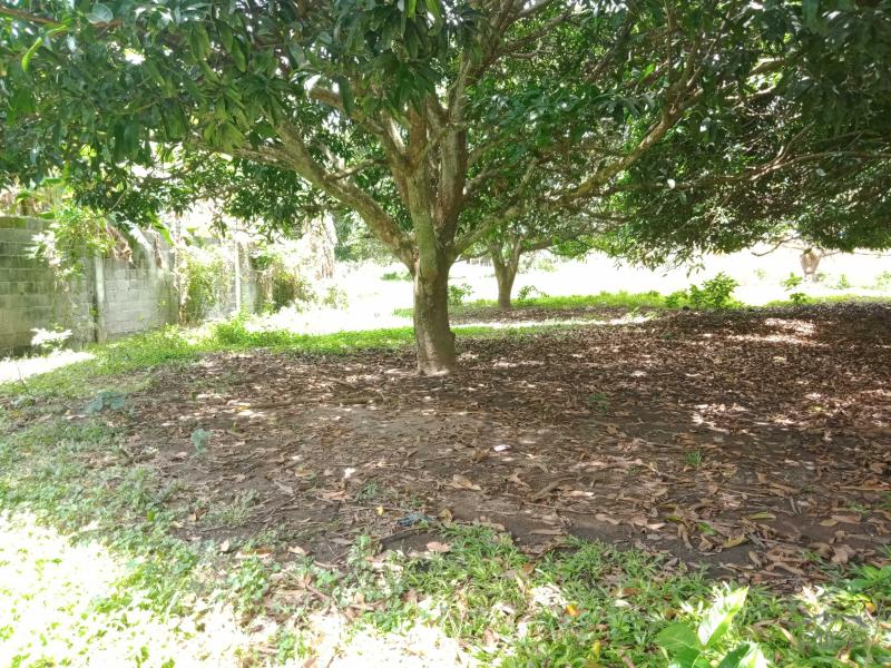 Residential Lot for sale in Dumaguete - image 16