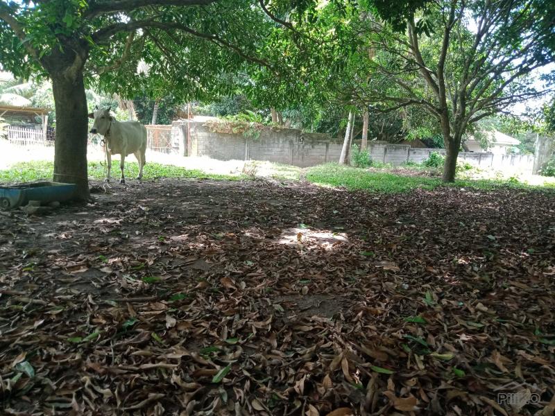 Residential Lot for sale in Dumaguete - image 18