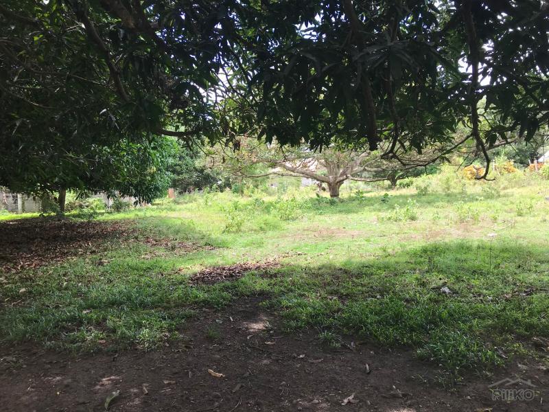 Residential Lot for sale in Dumaguete - image 9