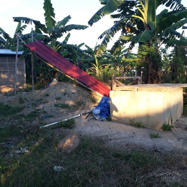 Resort Property for sale in Ubay - image 11