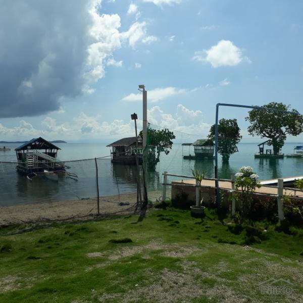 Resort Property for sale in Ubay - image 16