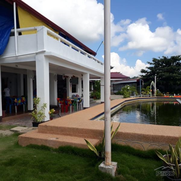 Resort Property for sale in Ubay - image 19