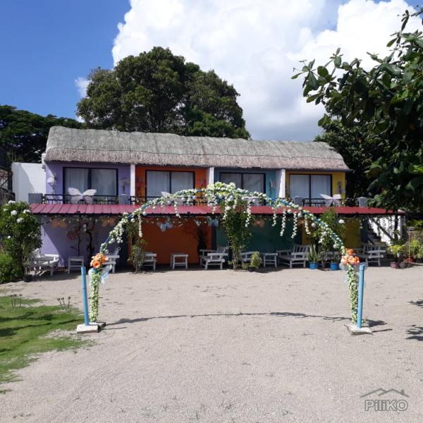 Resort Property for sale in Ubay - image 20