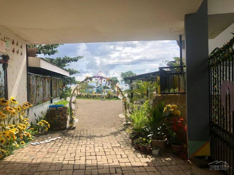 Resort Property for sale in Ubay in Philippines - image