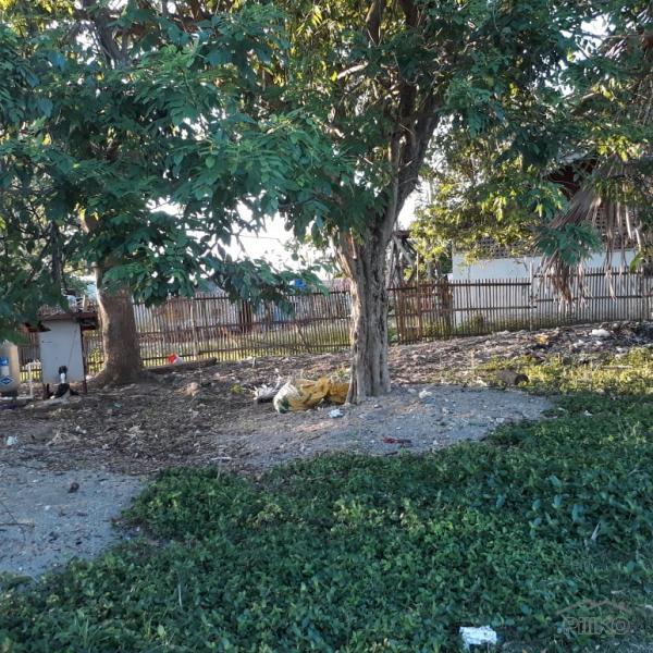Resort Property for sale in Ubay - image 9