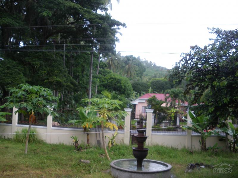 3 bedroom House and Lot for sale in Guihulngan - image 10