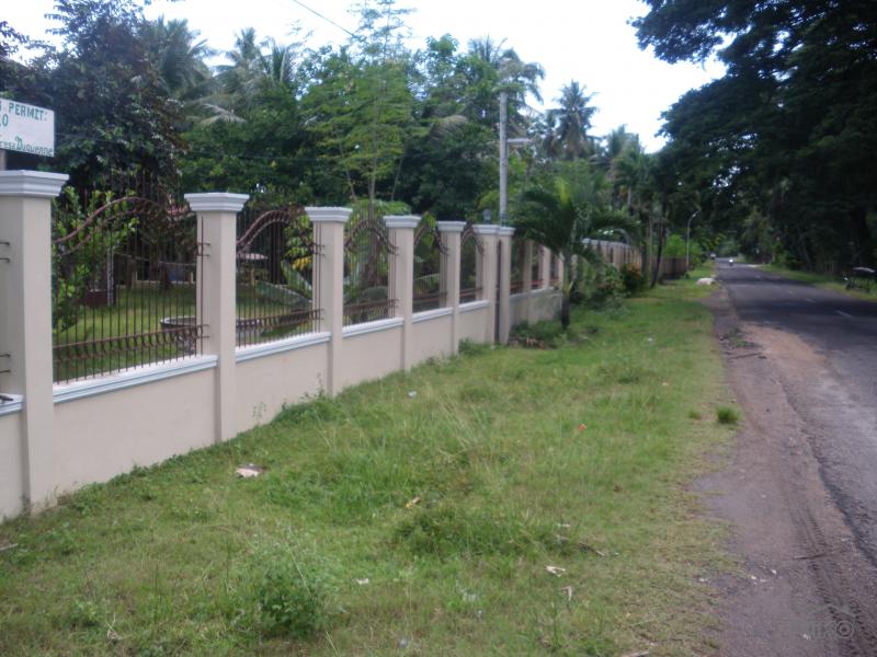 3 bedroom House and Lot for sale in Guihulngan - image 17