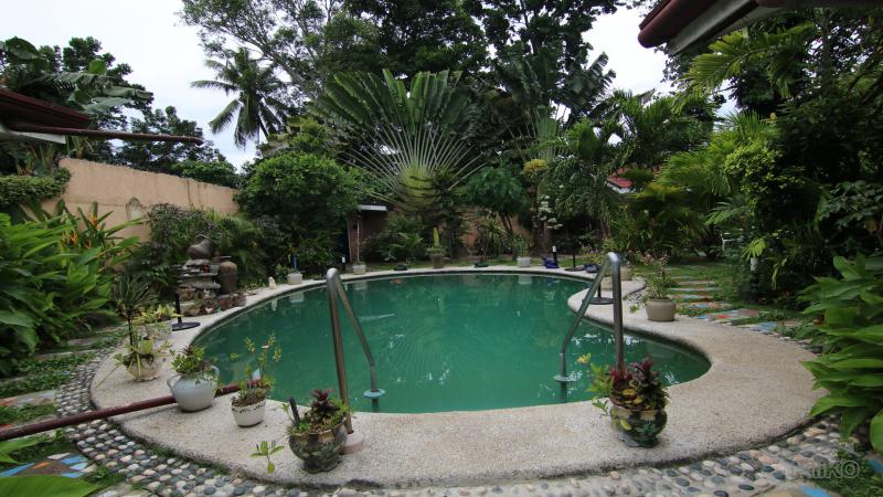 4 bedroom House and Lot for sale in Dumaguete - image 2