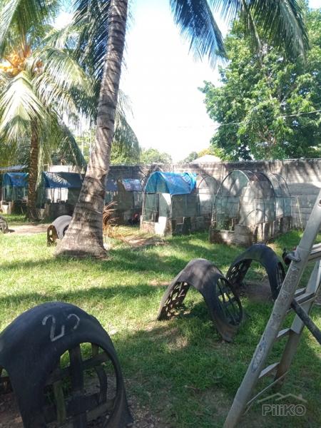 Residential Lot for sale in Amlan - image 10