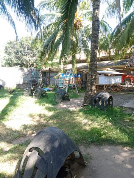 Residential Lot for sale in Amlan - image 11