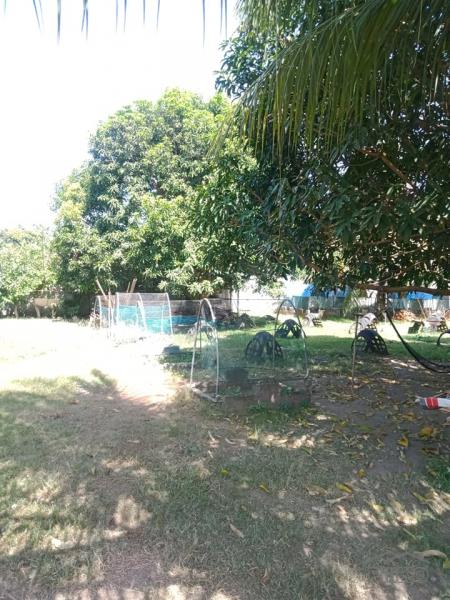 Residential Lot for sale in Amlan - image 12