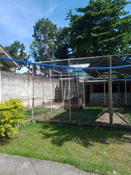 Residential Lot for sale in Amlan - image 13