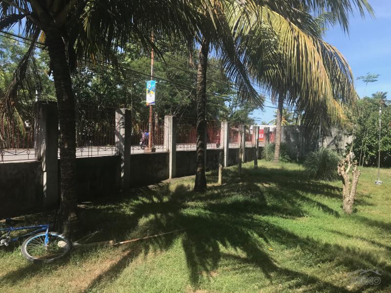 Residential Lot for sale in Amlan - image 15