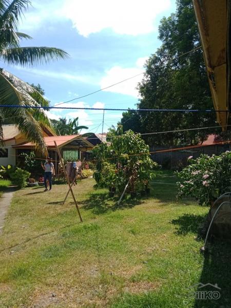 Residential Lot for sale in Amlan - image 16