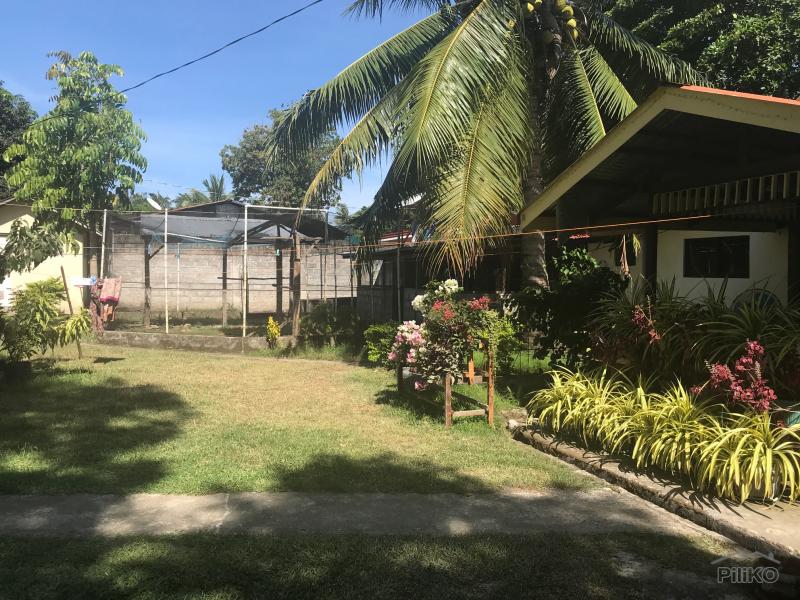 Residential Lot for sale in Amlan - image 17
