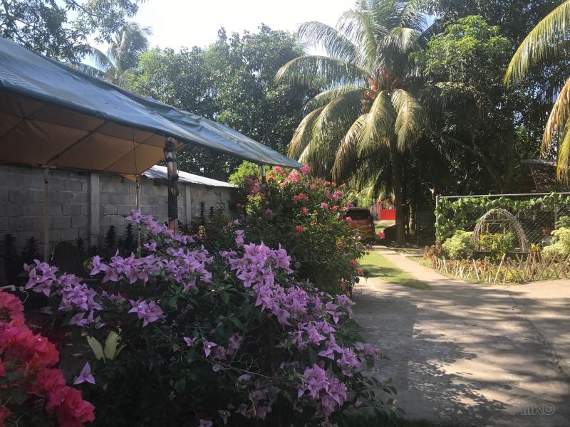 Residential Lot for sale in Amlan - image 18