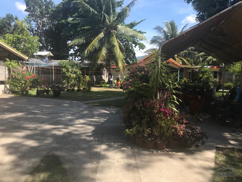 Residential Lot for sale in Amlan - image 19