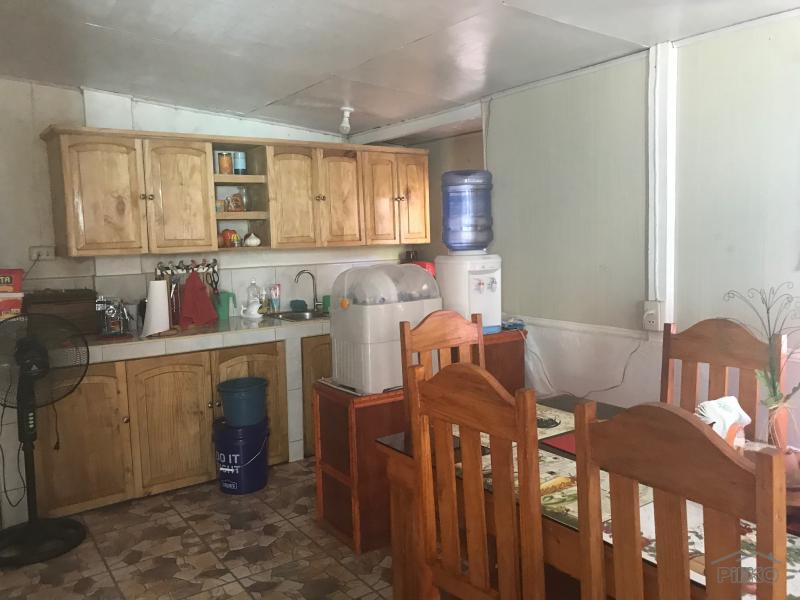 Residential Lot for sale in Amlan - image 20