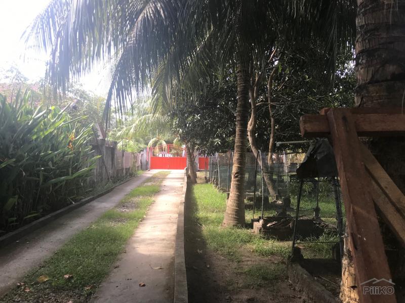 Residential Lot for sale in Amlan - image 22