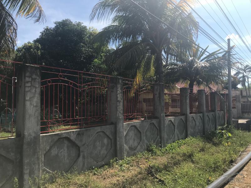Residential Lot for sale in Amlan - image 23