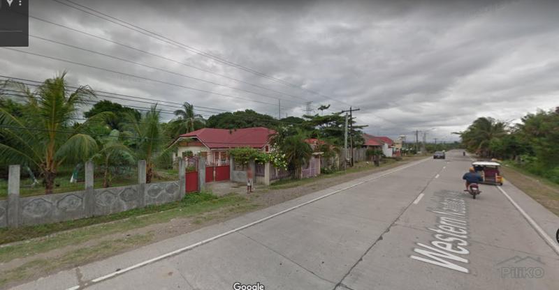 Residential Lot for sale in Amlan - image 24