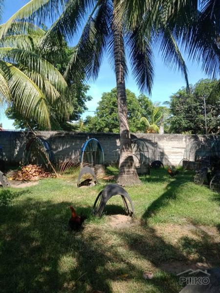 Residential Lot for sale in Amlan