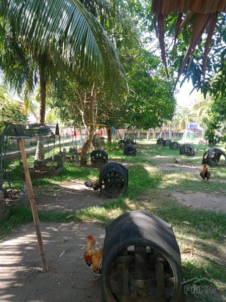 Residential Lot for sale in Amlan in Negros Oriental