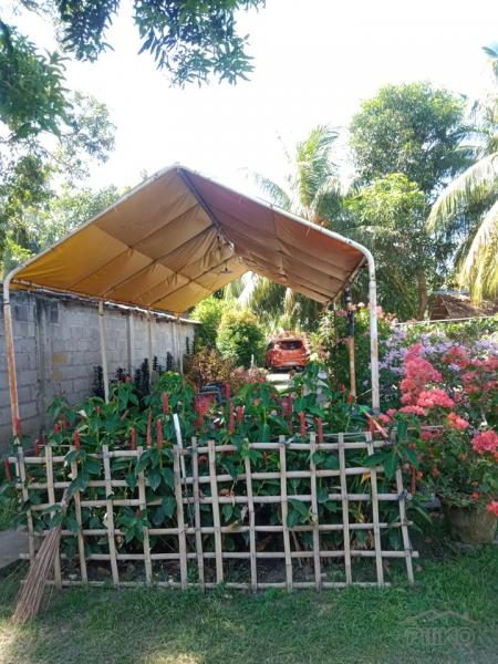 Residential Lot for sale in Amlan in Philippines