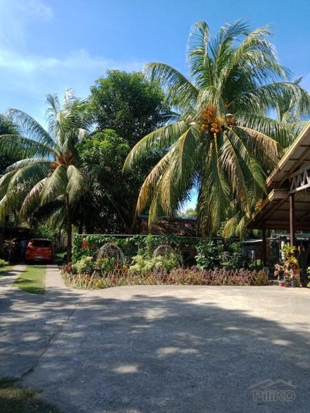 Picture of Residential Lot for sale in Amlan in Negros Oriental