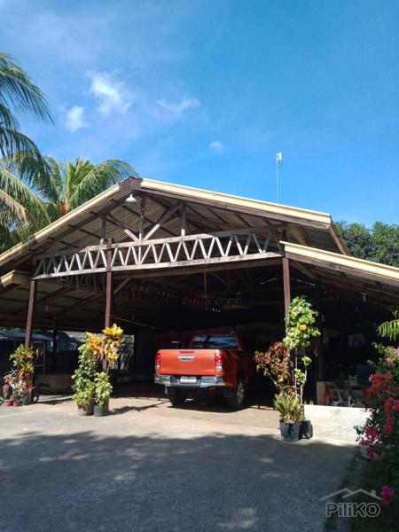 Picture of Residential Lot for sale in Amlan in Philippines