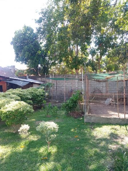 Residential Lot for sale in Amlan in Negros Oriental - image