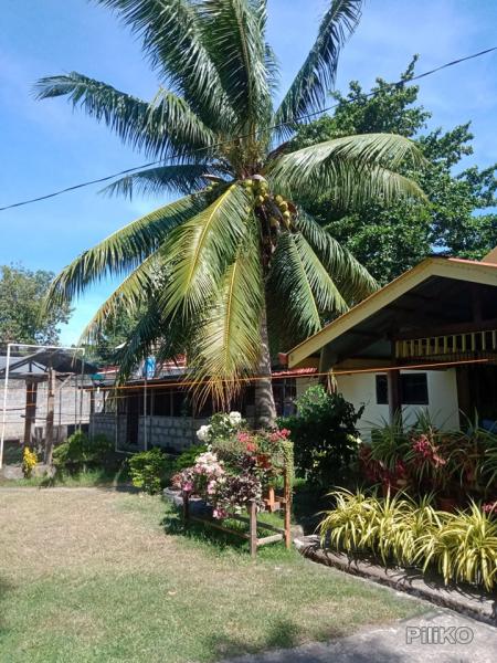 Residential Lot for sale in Amlan in Philippines - image