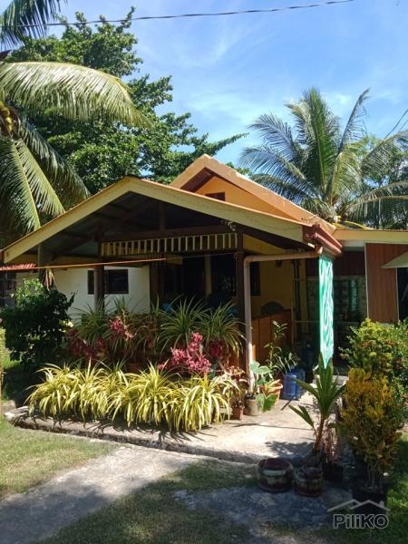 Residential Lot for sale in Amlan - image 9