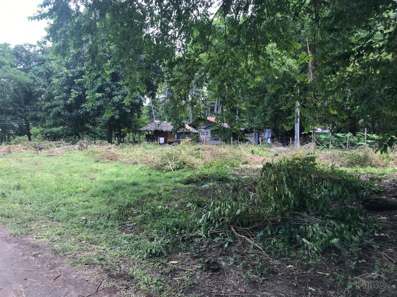 Residential Lot for sale in Dumaguete - image 10
